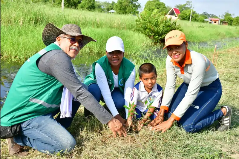 Voluntariado y cuidado del medio ambiente