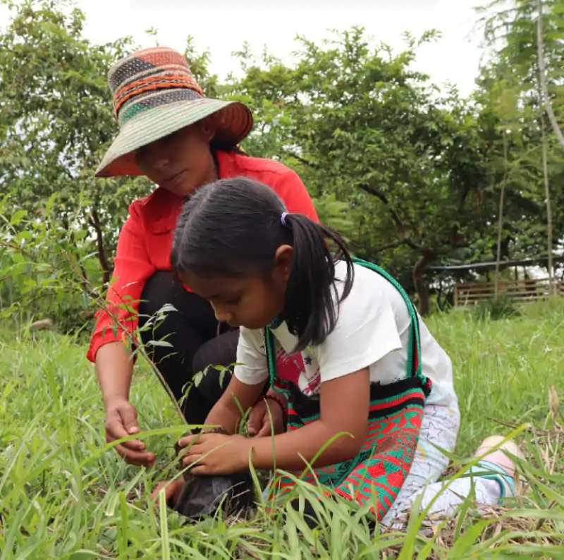 Actividad comunitaria y ambiental de Corprosocial